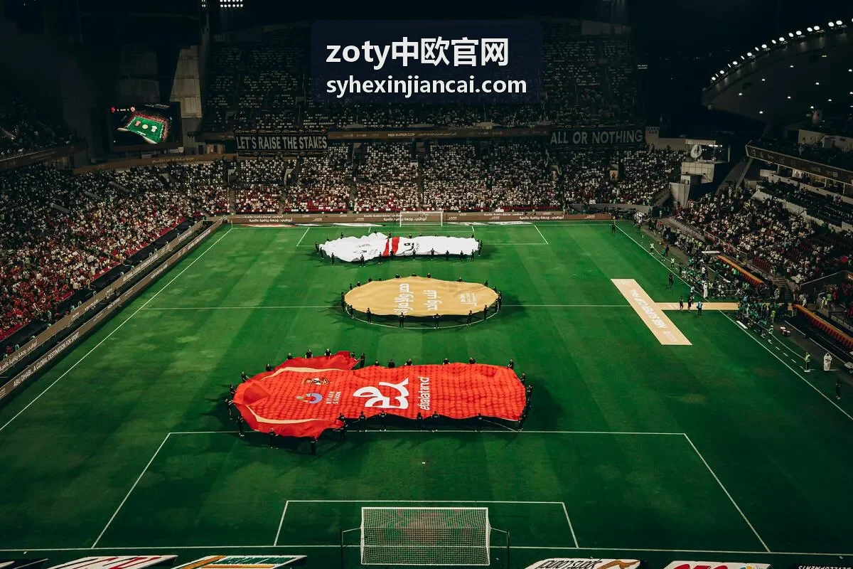 zoty中欧专题直播现场画面与内容整理示例