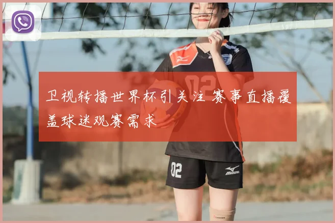 卫视转播世界杯引关注 赛事直播覆盖球迷观赛需求