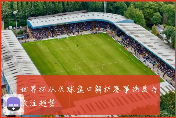 世界杯从买球盘口解析赛事热度与投注趋势
